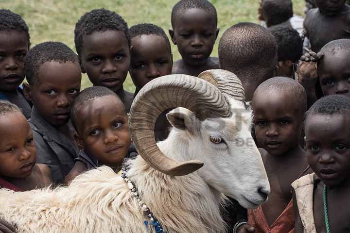 Yunak Nafile